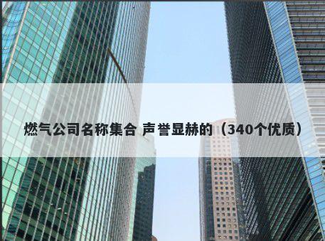 燃气公司名称集合 声誉显赫的（340个优质）