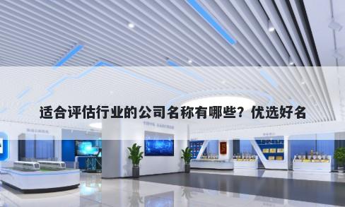 适合评估行业的公司名称有哪些？优选好名