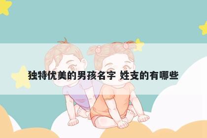 独特优美的男孩名字 姓支的有哪些