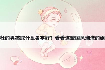 姓杜的男孩取什么名字好?看看这些国风潮流的组合