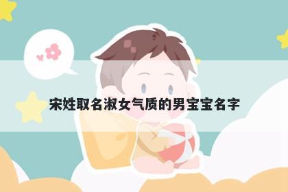 宋姓取名淑女气质的男宝宝名字