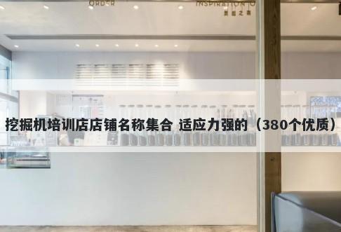 挖掘机培训店店铺名称集合 适应力强的(380个优质)