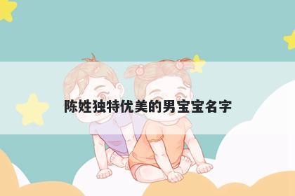 陈姓独特优美的男宝宝名字