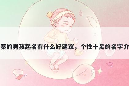 姓秦的男孩起名有什么好建议，个性十足的名字介绍