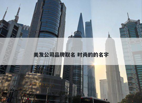 美发公司品牌取名 时尚的的名字