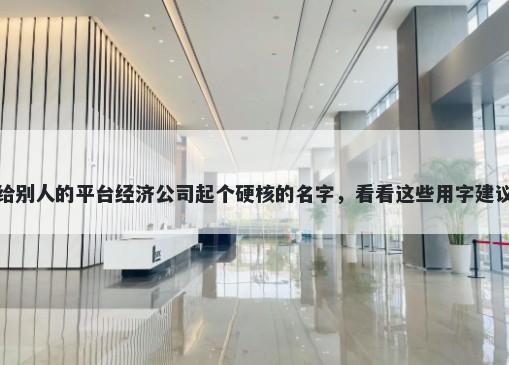 给别人的平台经济公司起个硬核的名字,看看这些用字建议