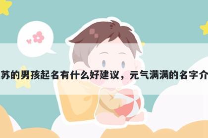 姓苏的男孩起名有什么好建议,元气满满的名字介绍