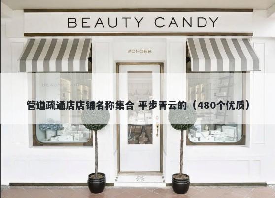 管道疏通店店铺名称集合 平步青云的（480个优质）