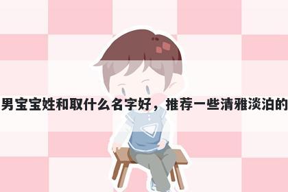 刚出生的男宝宝姓和取什么名字好，推荐一些清雅淡泊的男孩名字