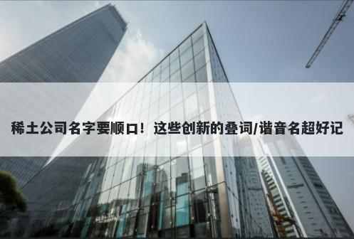稀土公司名字要顺口！这些创新的叠词/谐音名超好记