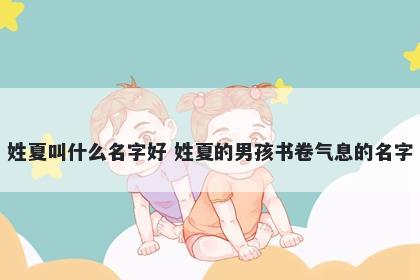 姓夏叫什么名字好 姓夏的男孩书卷气息的名字