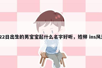 2026年-02月-22日出生的男宝宝起什么名字好听，姓柳 ins风洋气的名字推荐