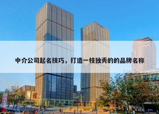 中介公司起名技巧，打造一枝独秀的的品牌名称