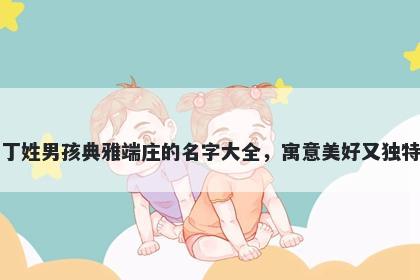 丁姓男孩典雅端庄的名字大全，寓意美好又独特