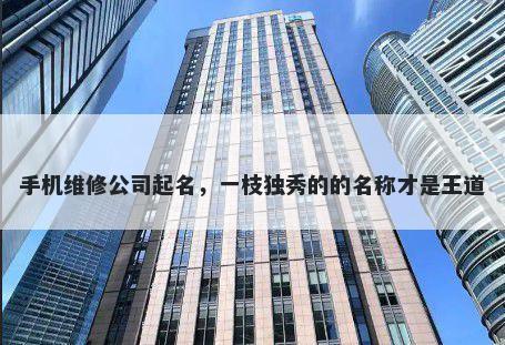 手机维修公司起名，一枝独秀的的名称才是王道