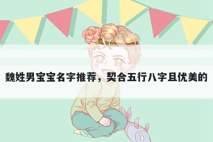 魏姓男宝宝名字推荐，契合五行八字且优美的