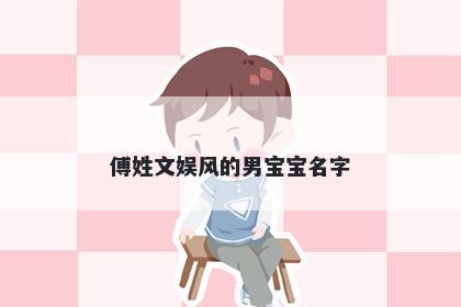 傅姓文娱风的男宝宝名字