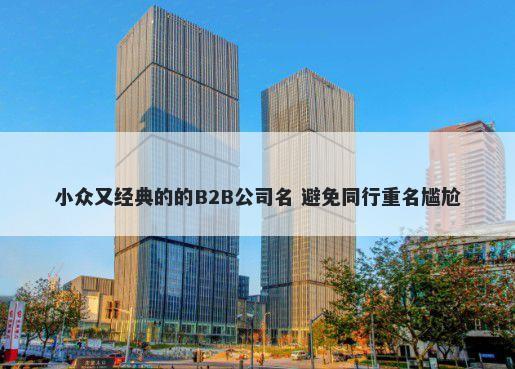 小众又经典的的B2B公司名 避免同行重名尴尬