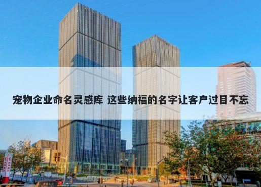 宠物企业命名灵感库 这些纳福的名字让客户过目不忘