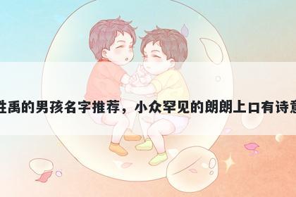 姓禹的男孩名字推荐，小众罕见的朗朗上口有诗意