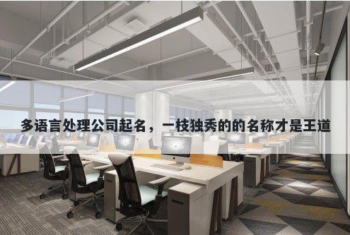 多语言处理公司起名，一枝独秀的的名称才是王道