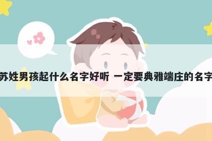 苏姓男孩起什么名字好听 一定要典雅端庄的名字