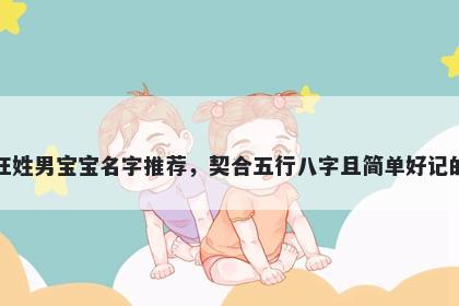 汪姓男宝宝名字推荐，契合五行八字且简单好记的