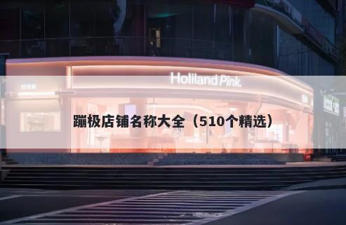 蹦极店铺名称大全（510个精选）