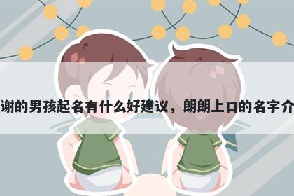 姓谢的男孩起名有什么好建议，朗朗上口的名字介绍