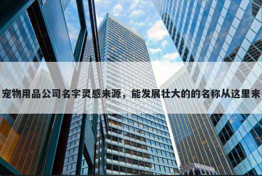 宠物用品公司名字灵感来源,能发展壮大的的名称从这里来