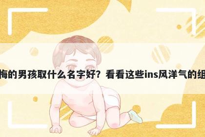 姓梅的男孩取什么名字好?看看这些ins风洋气的组合