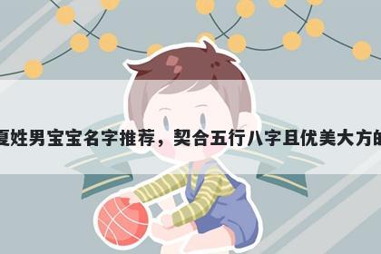 夏姓男宝宝名字推荐，契合五行八字且优美大方的