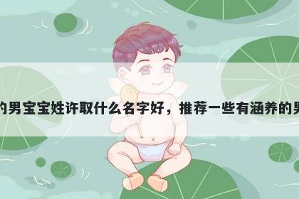 刚出生的男宝宝姓许取什么名字好，推荐一些有涵养的男孩名字