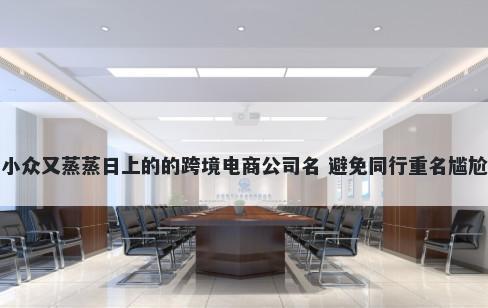 小众又蒸蒸日上的的跨境电商公司名 避免同行重名尴尬