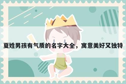 夏姓男孩有气质的名字大全，寓意美好又独特