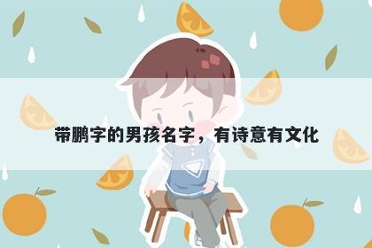 带鹏字的男孩名字，有诗意有文化