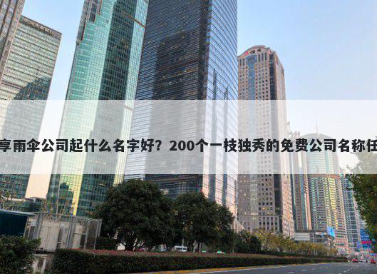 共享雨伞公司起什么名字好？200个一枝独秀的免费公司名称任选