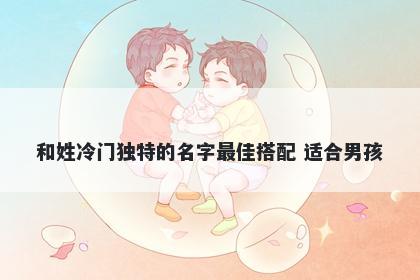和姓冷门独特的名字最佳搭配 适合男孩