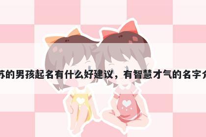 姓苏的男孩起名有什么好建议,有智慧才气的名字介绍