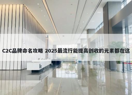 C2C品牌命名攻略 2025最流行能提高创收的元素都在这