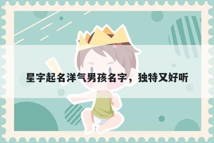 星字起名洋气男孩名字，独特又好听