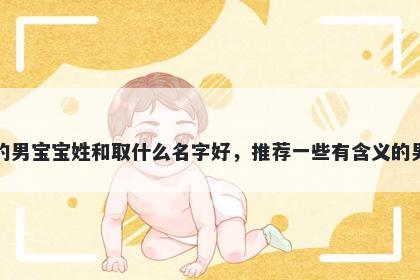 刚出生的男宝宝姓和取什么名字好，推荐一些有含义的男孩名字