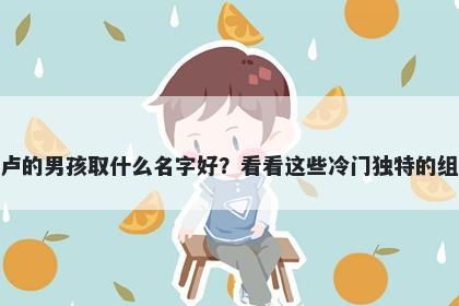 姓卢的男孩取什么名字好？看看这些冷门独特的组合