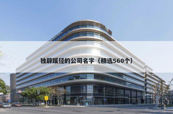 独辟蹊径的公司名字（精选560个）