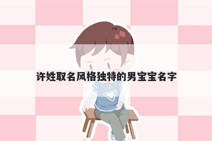 许姓取名风格独特的男宝宝名字