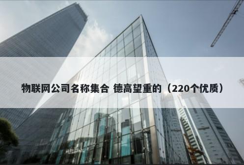 物联网公司名称集合 德高望重的（220个优质）