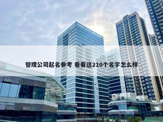 管理公司起名参考 看看这210个名字怎么样
