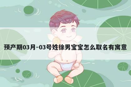 预产期03月-03号姓徐男宝宝怎么取名有寓意