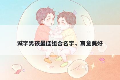 诚字男孩最佳组合名字，寓意美好