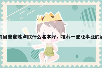 刚出生的男宝宝姓卢取什么名字好，推荐一些旺事业的男孩名字